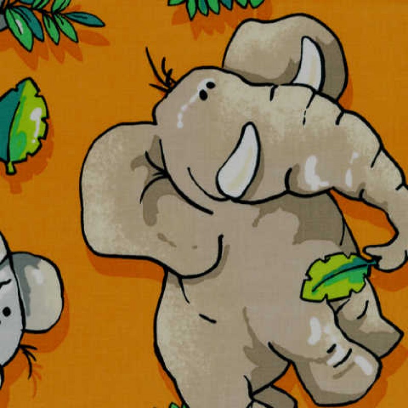 Zany Zoo : Elefanter