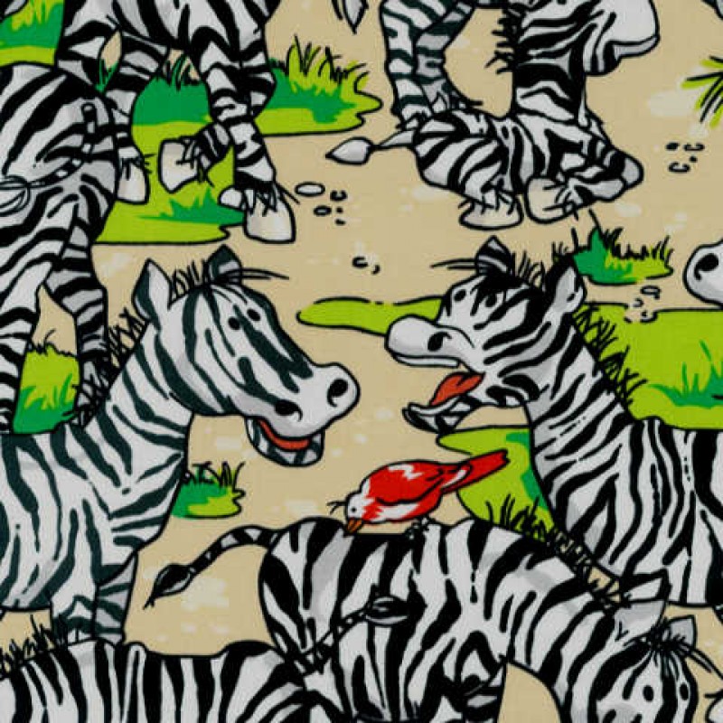 Zany Zoo : zebra