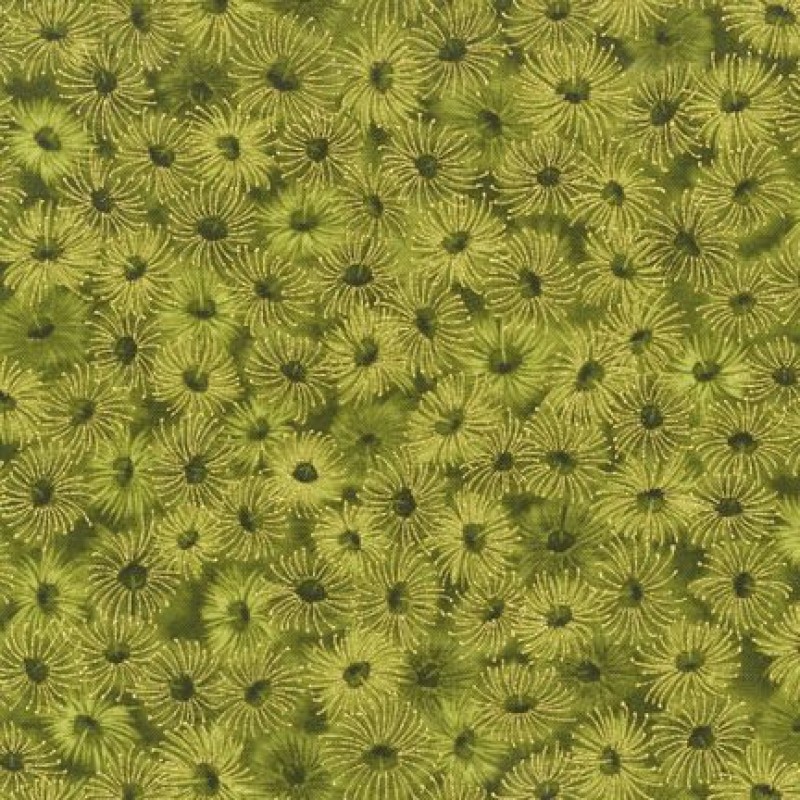 Under the Australian Sun