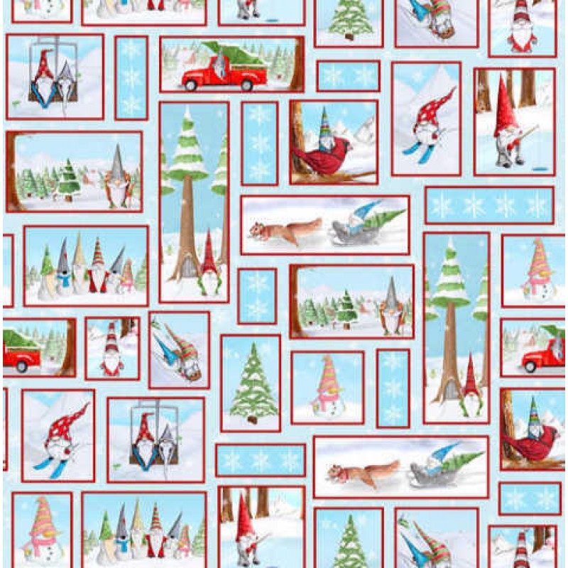 GNOMING THROUGH THE SNOW : Billeder