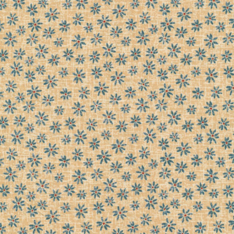 Harvest time : Daisys Tan