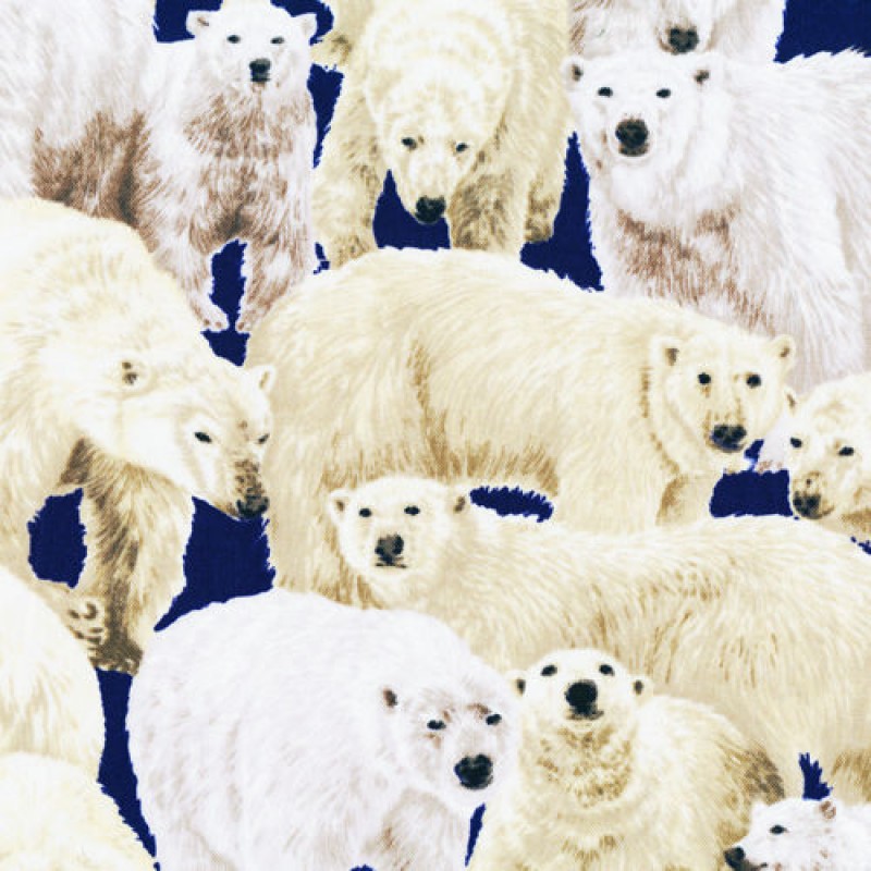 Living Wonders : Isbjørne