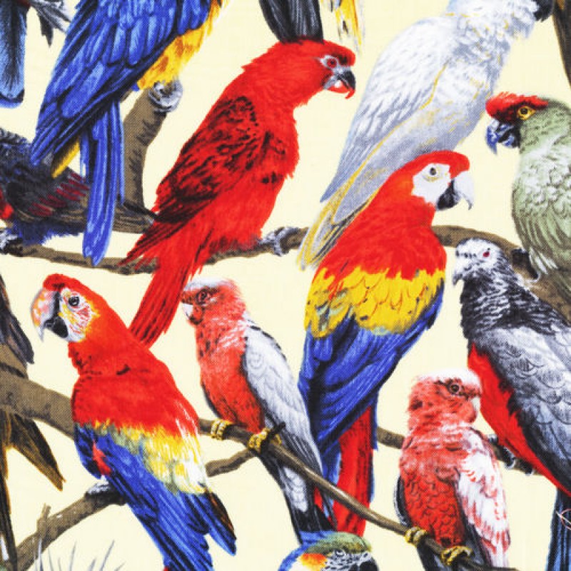 Living Wonders : Papegøjer