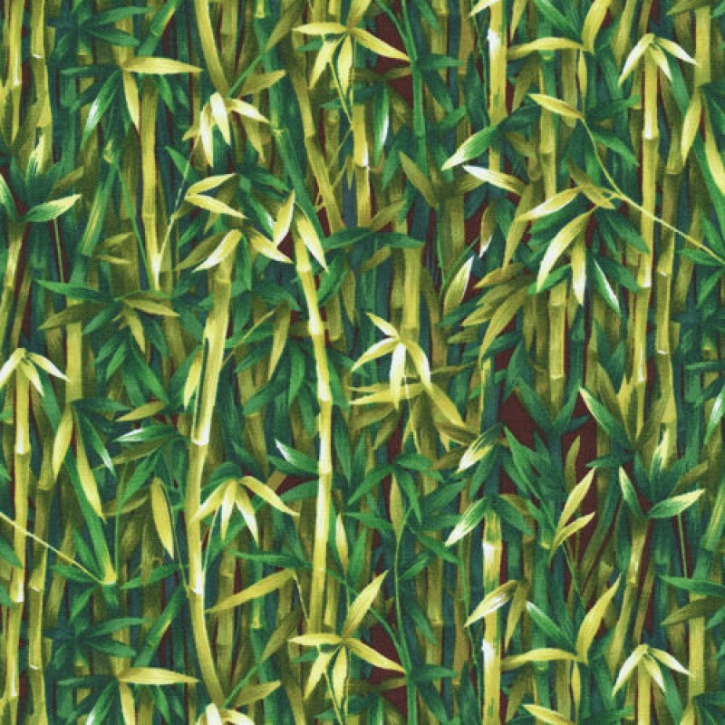 Peter Panda : Bambus