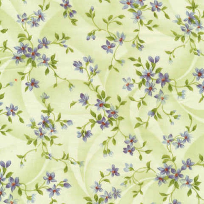 Southern Nights : Blomster