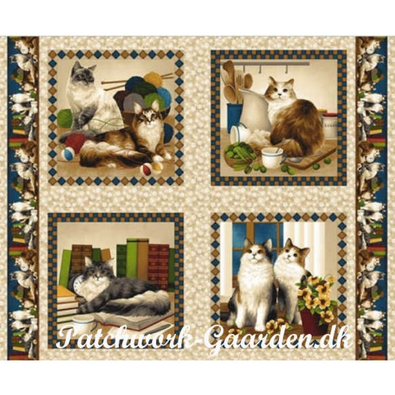 Four Paws :Store katte billeder