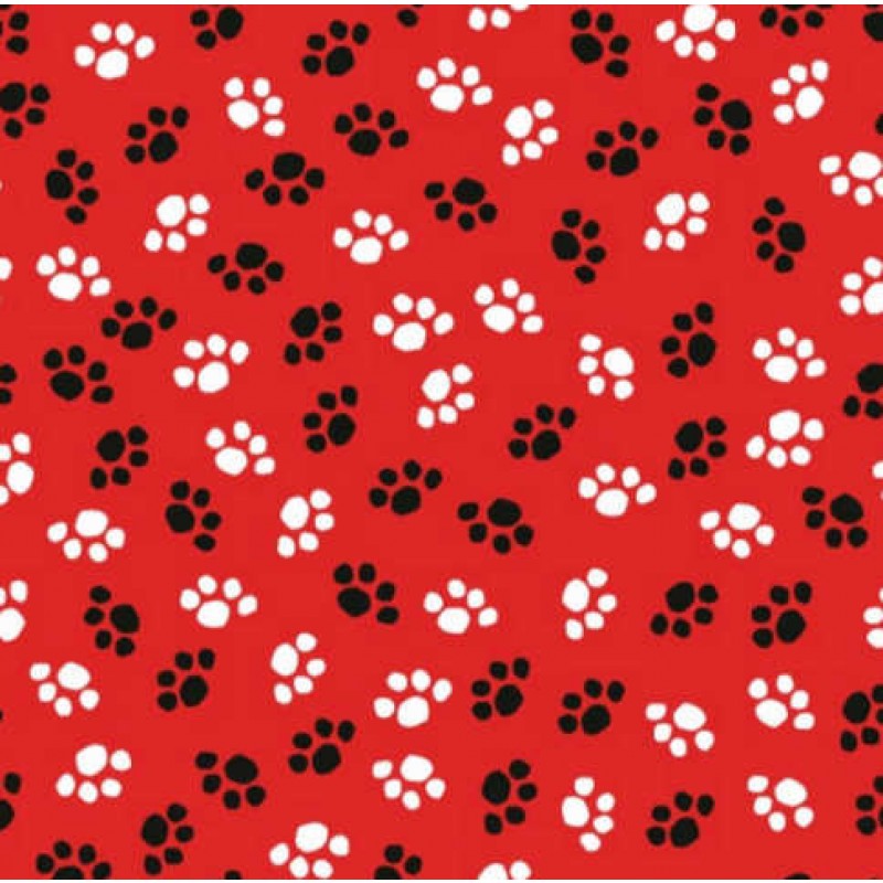 The cat's Meow - Poter