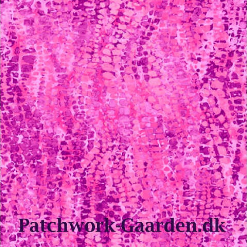 Chameleon : Pink/purple