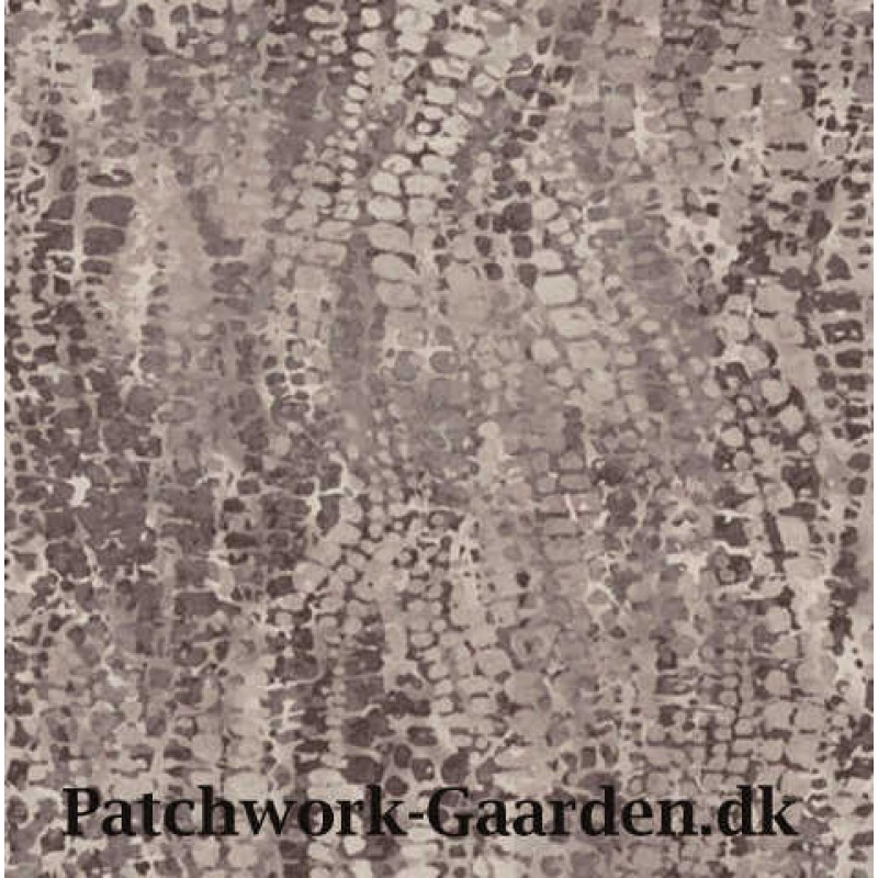 Chameleon : Charcoal