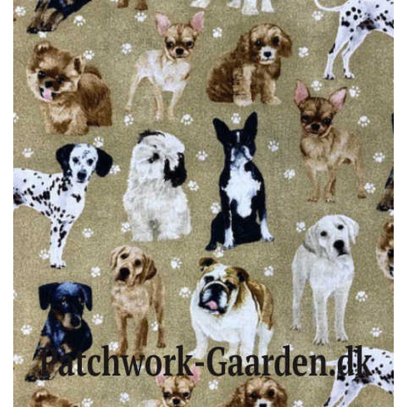 My pet family : Hunde