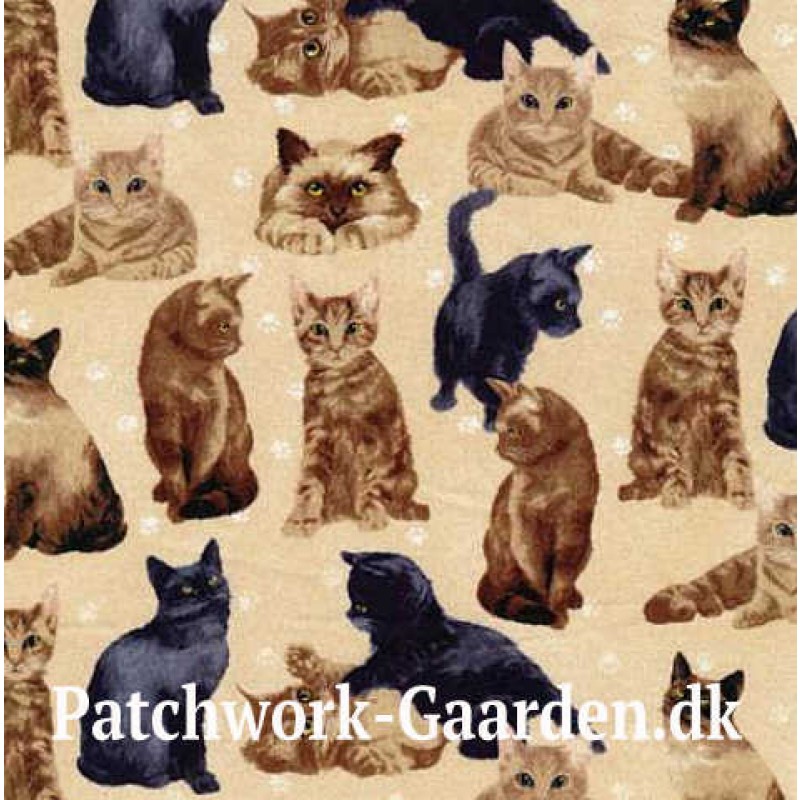 My pet family : Katte