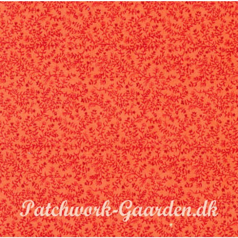 Classique : Tiny Leaf Coral