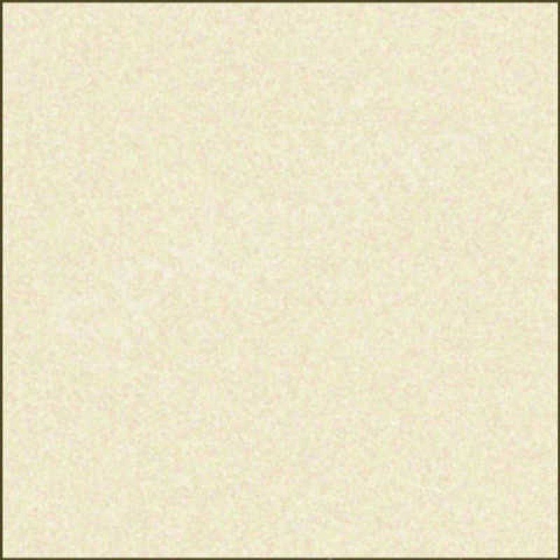 World of horses : Beige