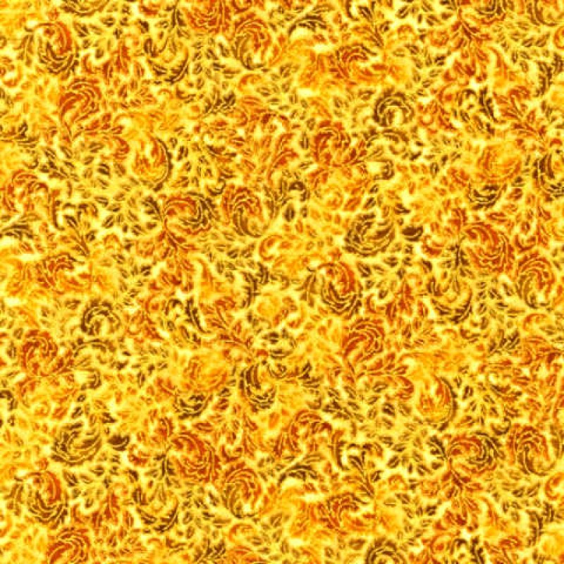 Fusion Regent : Nature