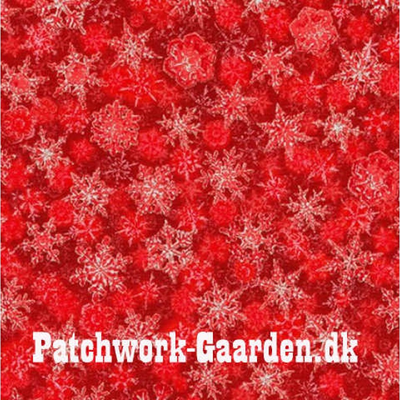 Winter's Grandeur : Scarlet