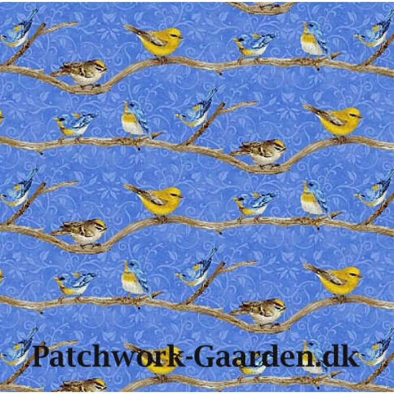 Hydrangea Birdsong : Fugle