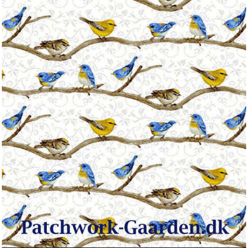 Hydrangea Birdsong : Fugle