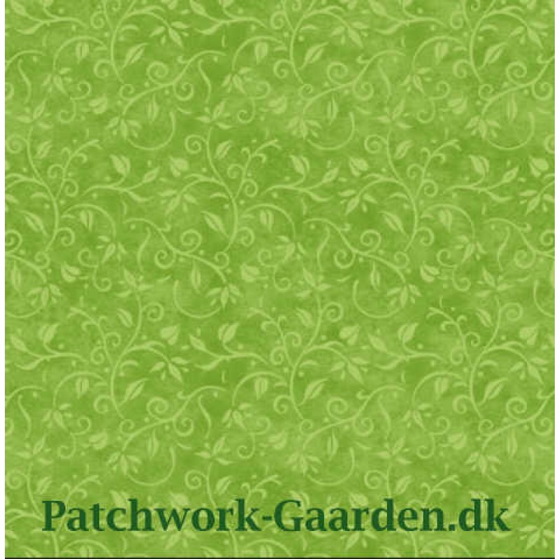 Hydrangea Birdsong : grøn