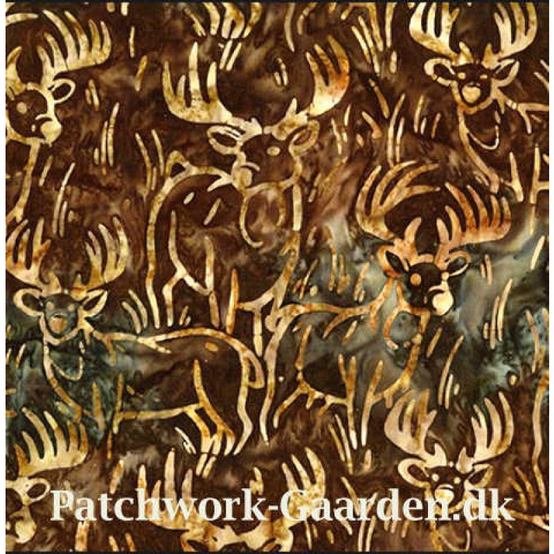 Wildlife Sanctuary : Hjorte