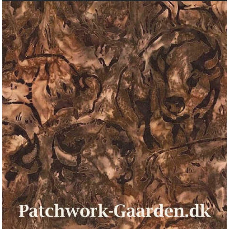 Wildlife Santuary : Bison