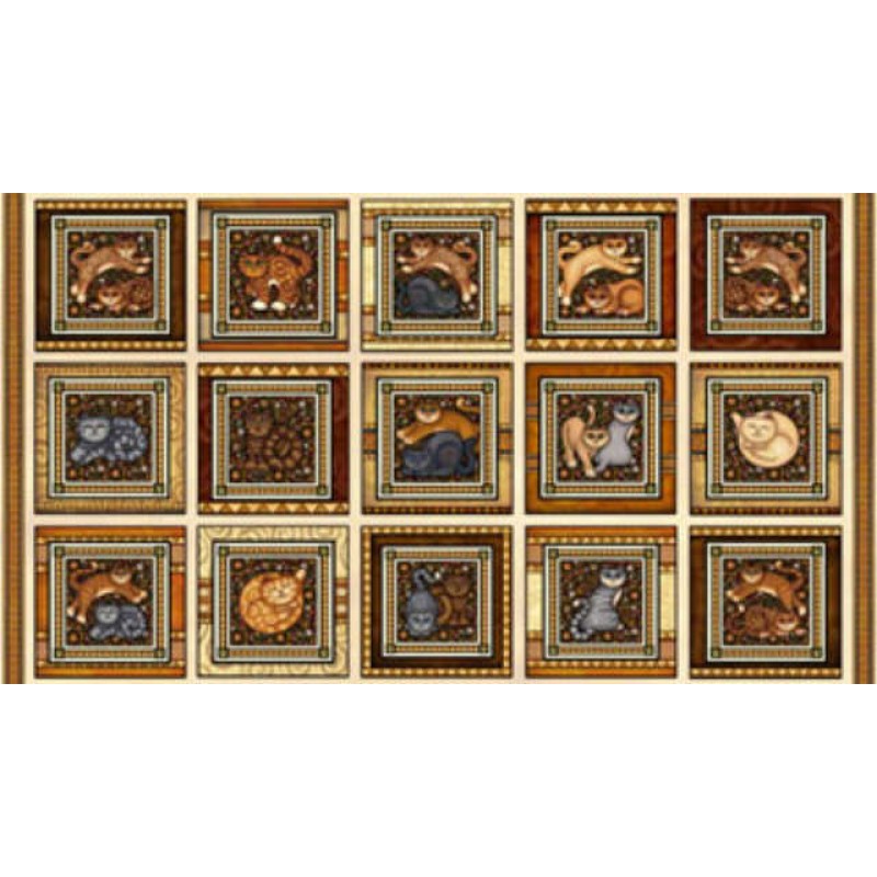 Wild Cats - Billeder