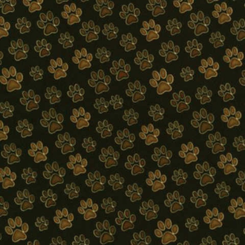 Wild Cats : Poter III