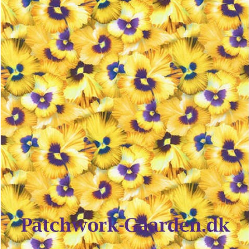 Natures Studes : Stedmoder blomster