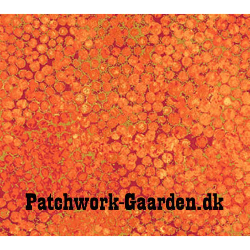 Shimmer : Orange prikket