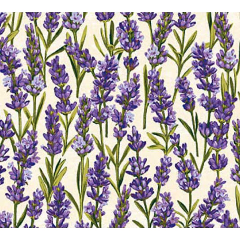 Lavender Market : Blomster