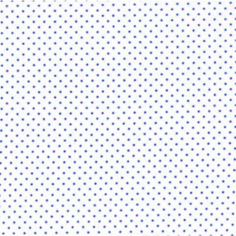 Catalina : Blå Prikker