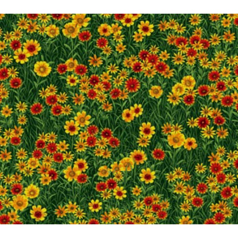 Wild Flowers : Små Blomster