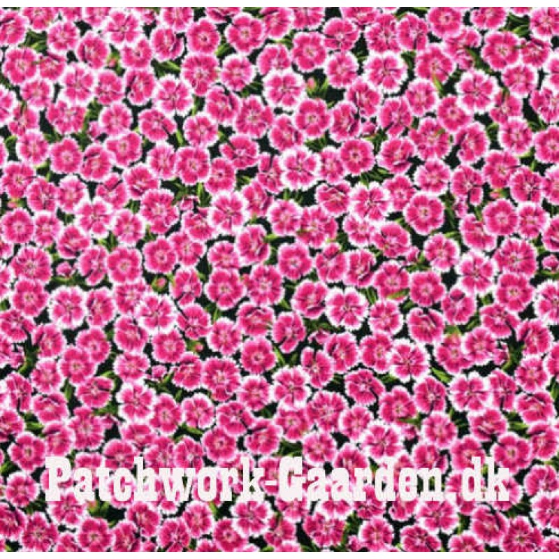 Naturescape : Nelliker