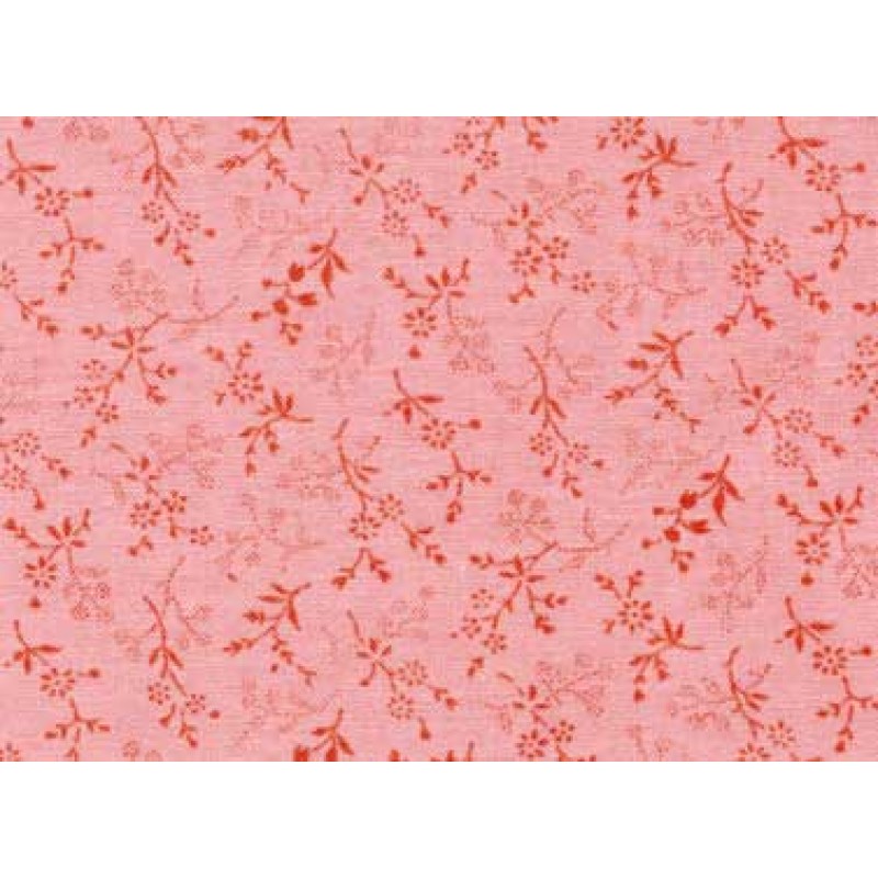 Carolines Collection