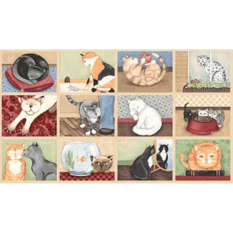 Cattitudes - store billeder