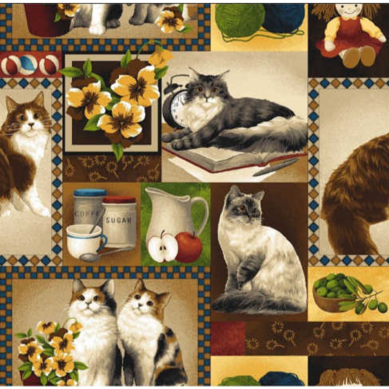 Four Paws : Katte Portrætter