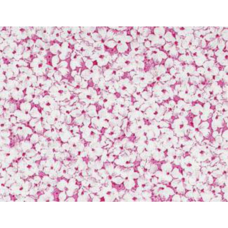 Adele : Lyserøde Blomster