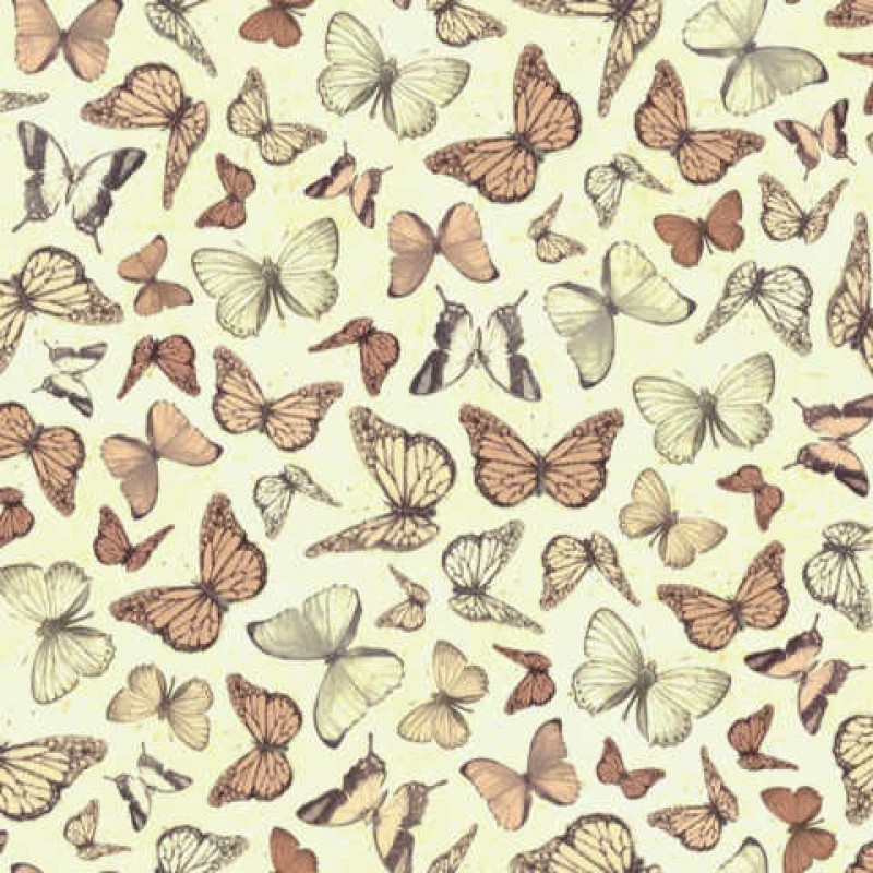 Mirabelle : Sommerfugle