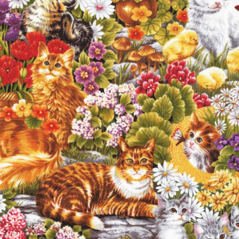 Furry Frinds : Katte killinger i haven