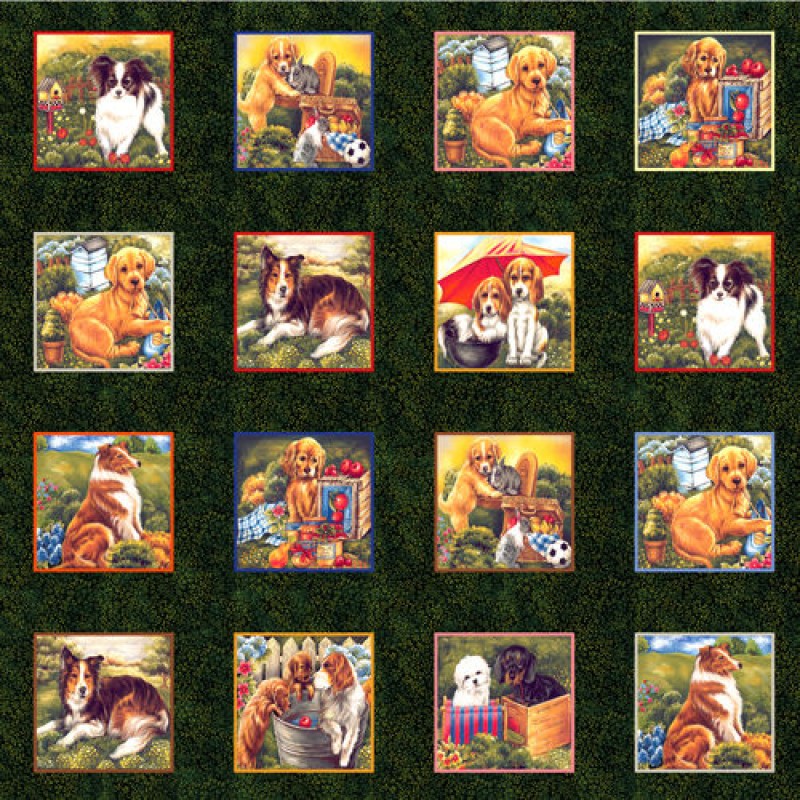 Furry Freinds : Hunde billeder