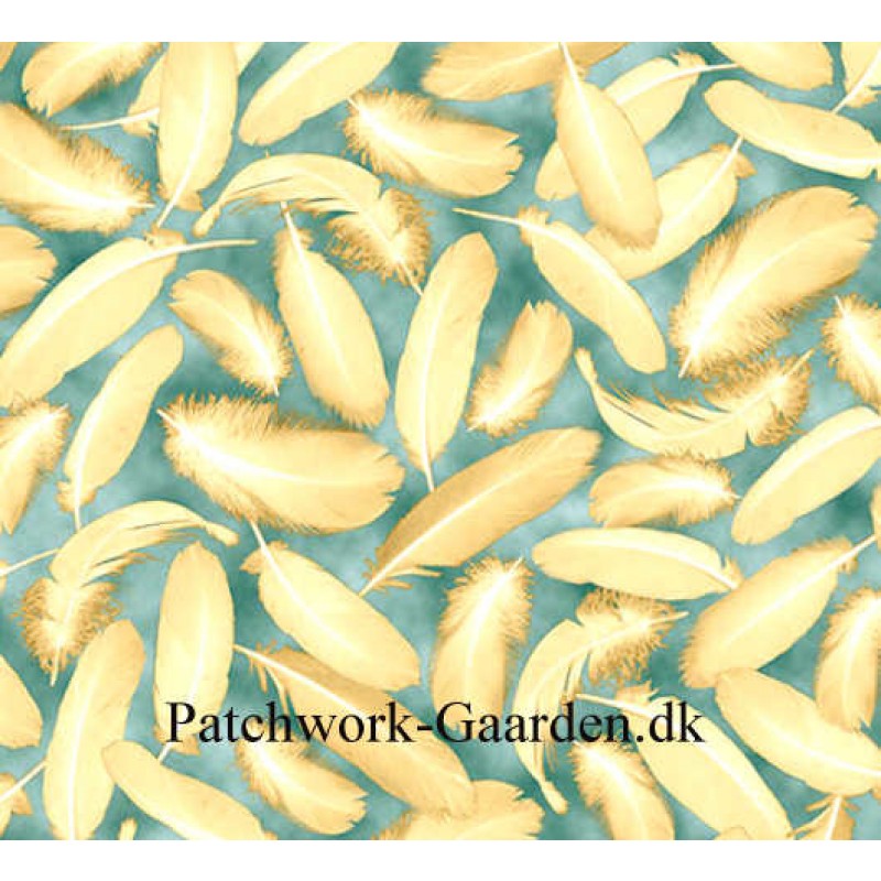 Splendid Swans : Fjer