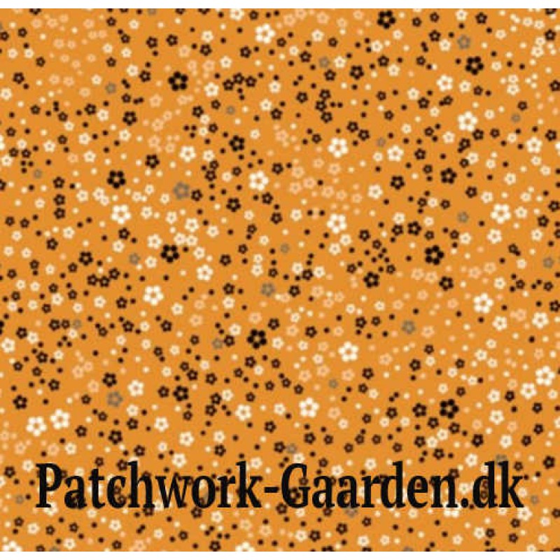 Whisper : Confetti Floral/Gold