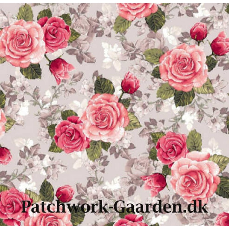 Rose GArden : Store Roser