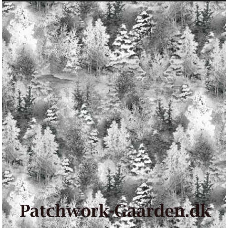 BACK HOME FOR THE HOLIDAYS : Vinter Skoven