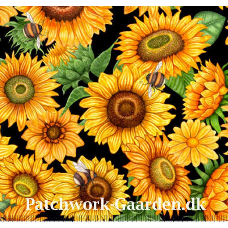 ALWAYS FACE THE SUNSHINE PACKED SUNFLOWERS