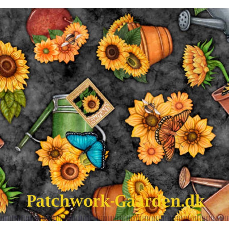 ALWAYS FACE THE SUNSHINE : POTTED SUNFLOWERS