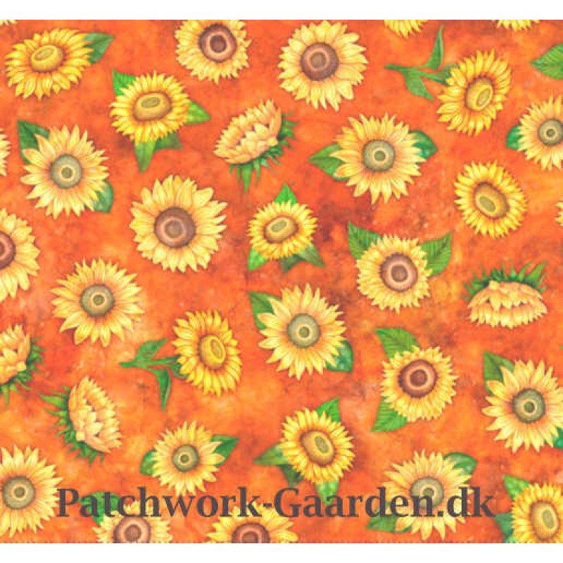 ALWAYS FACE THE SUNSHINE : Small Tossed sunflowers