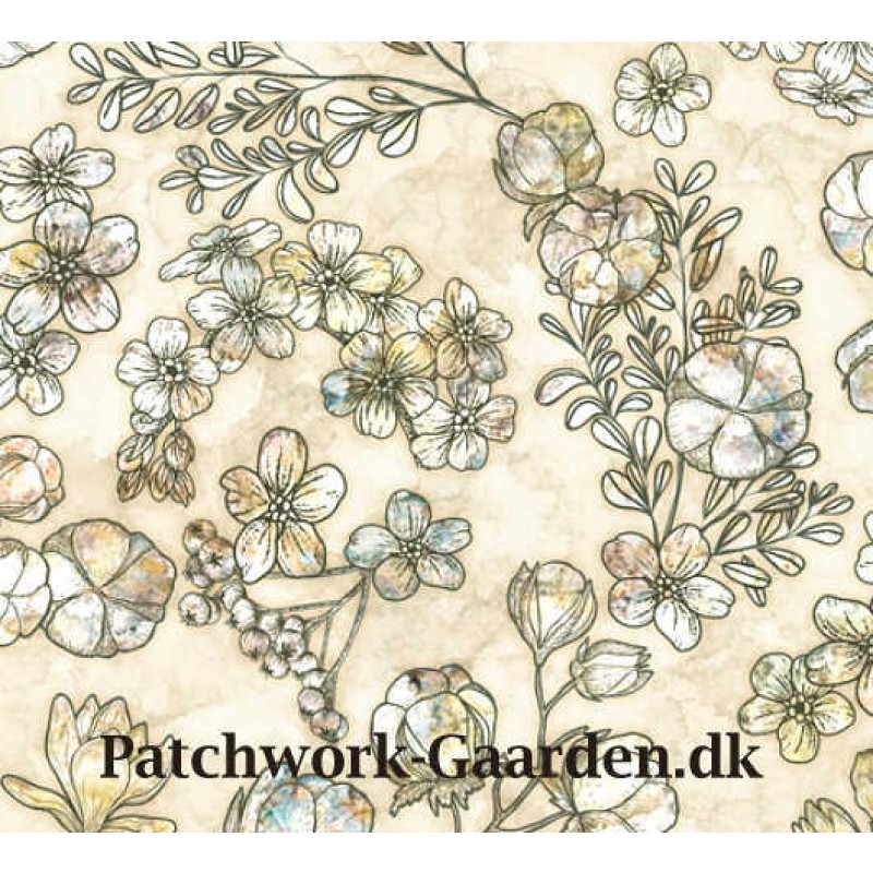 COTTON COUTURE : Floral Cotton - Creme