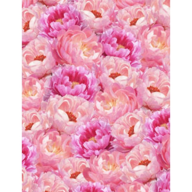 Flower Study : Pæoner