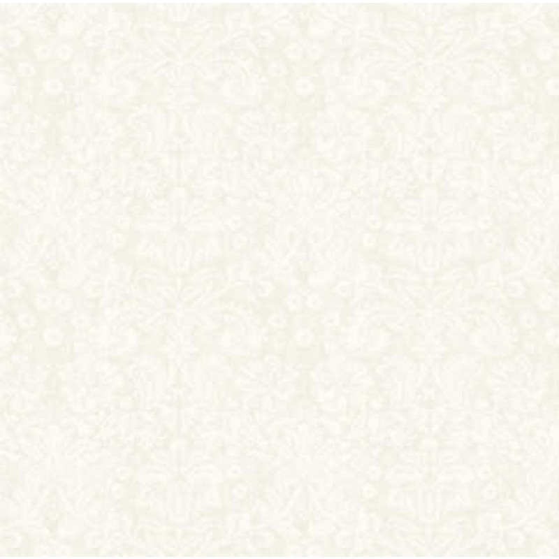 Flower Study : Creme