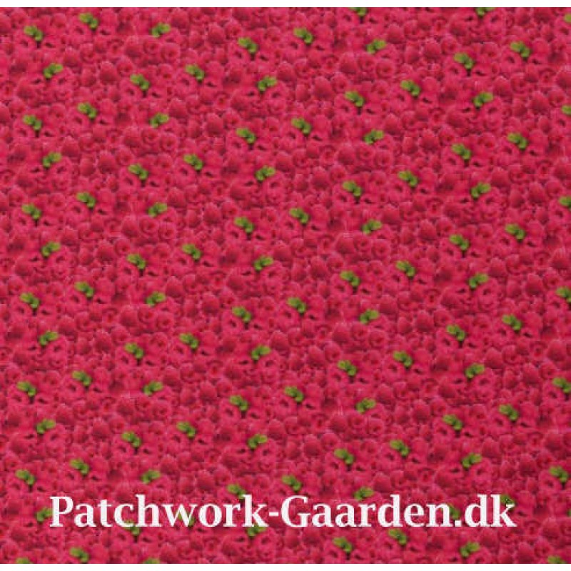 YummyHindbr147cmbredt-0